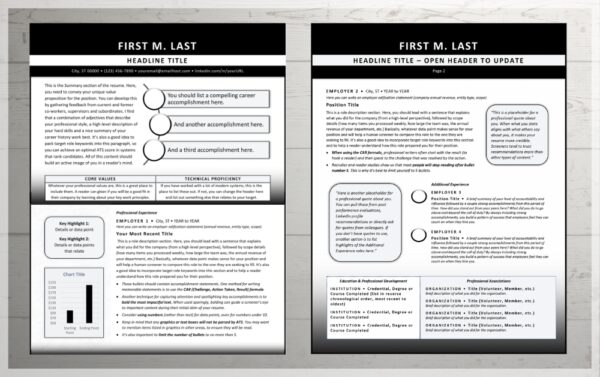 Black and White Resume Template Two Page Example